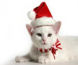 yapboz Noel Baba şapkaları ile beyaz kedi